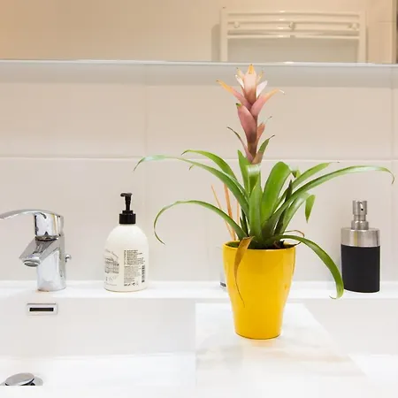 Hyper Centre : T3 à Jeanne D Arc Apartamento