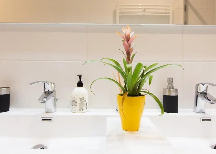 Hyper Centre 3 Pieces A Jeanne D'arc Apartmán